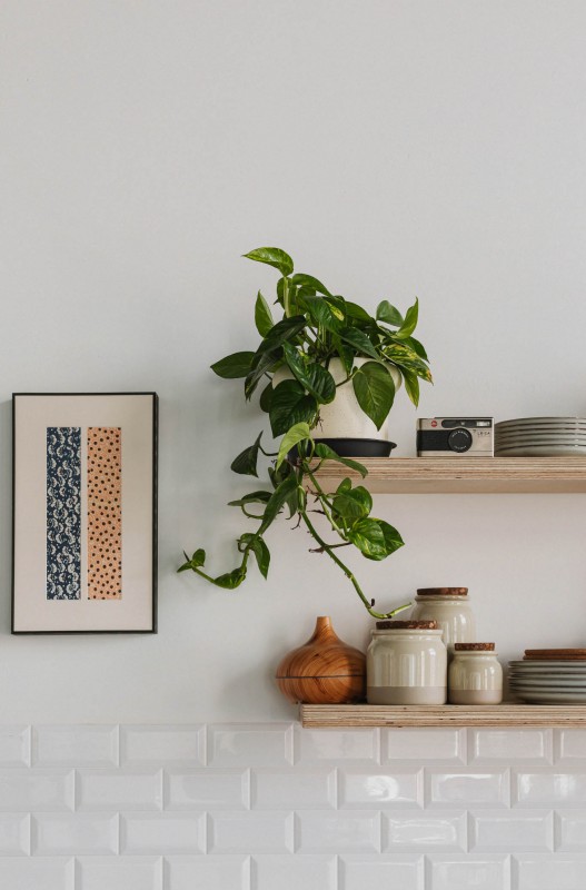 image for Basedot Studio