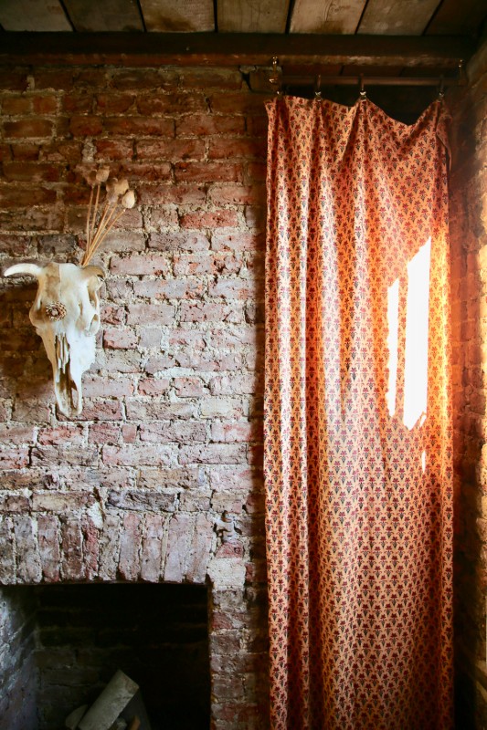 image for Flora Fauna Studio