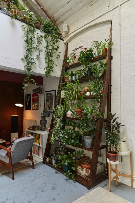 image for ShutterHouse - Green House