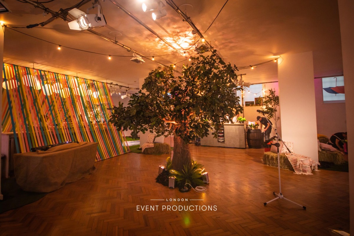 image for The Music Room