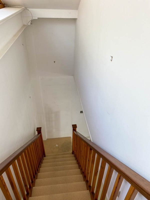 image for The Studio